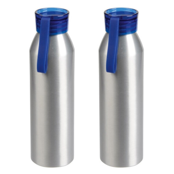 2x Stuks aluminium waterfles/drinkfles zilver met blauwe kunststof schroefdop 650 ml