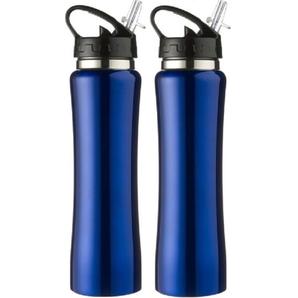 2x Drinkflessen/waterflessen kobalt blauw RVS 500 ml