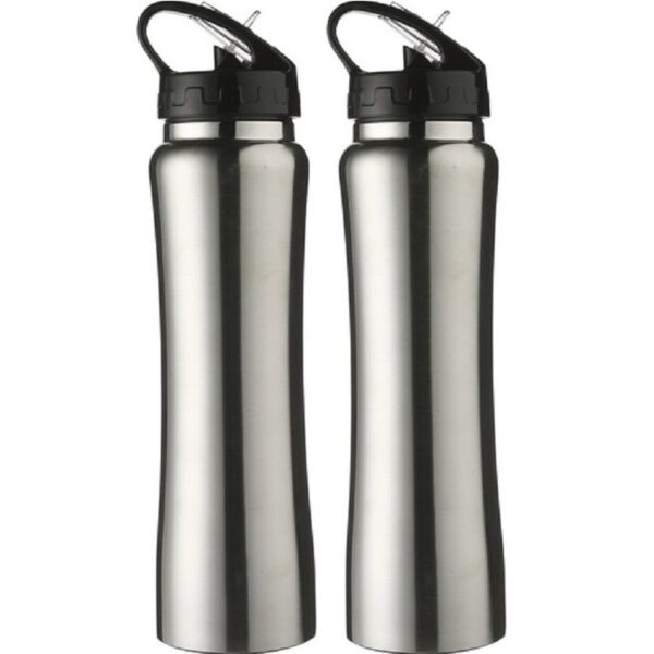 Bidon/drinkfles met buigbare drinktuit - 2x - Zilver - 500 ml - RVS - Sportfles - Waterfles