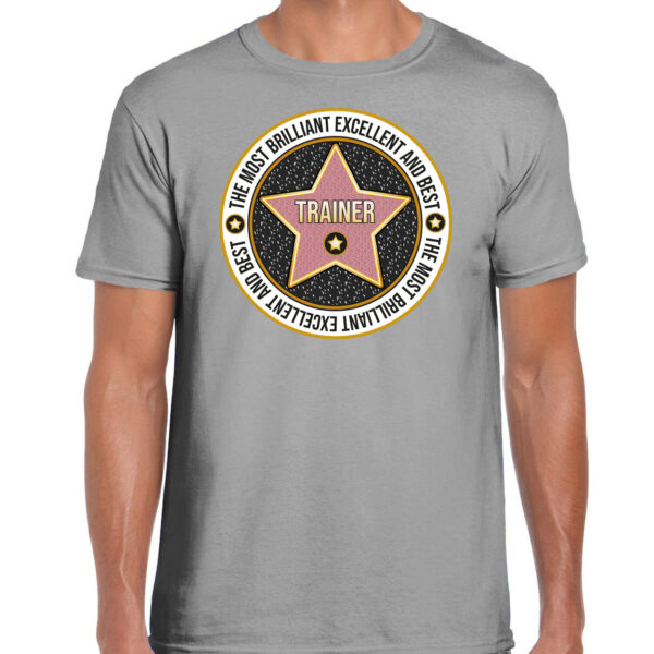 Cadeau t-shirt voor heren - trainer - grijs - bedankje - verjaardag