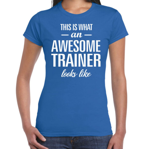 Awesome trainer kado t-shirt blauw voor dames