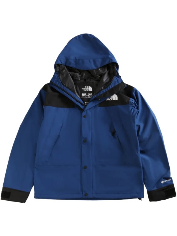 The North Face Mountain jacket - Bleu