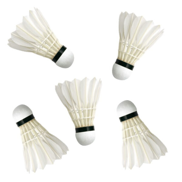 Set van 10x stuks badminton shuttles met veertjes - wit - 9 x 6 cm