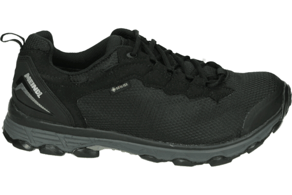 Meindl 5111 ACTIVO SPORT GTX - alle