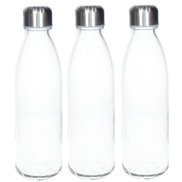 Waterfles/drinkfles - 3x - transparant - met RVS dop - 650 ml - glas - Sportfles - Bidon