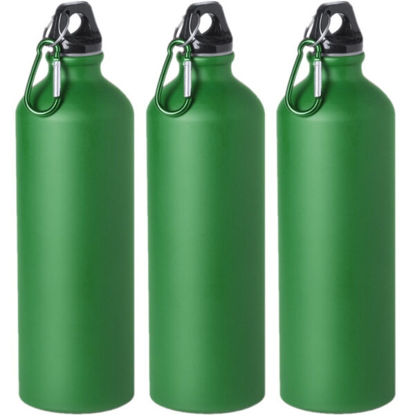 Drinkfles - 3x - groen - aluminium - schroefdop - 800ml - karabijnhaak