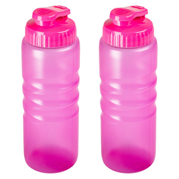 Plasticforte Drinkfles/waterfles/bidon - 2x stuks - 650 ml - transparant/roze - kunststof