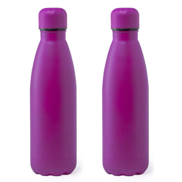 RVS waterfles/drinkfles fuchsia met schroefdop - 2x - 790 ml - Sportfles - Bidon - extra groot